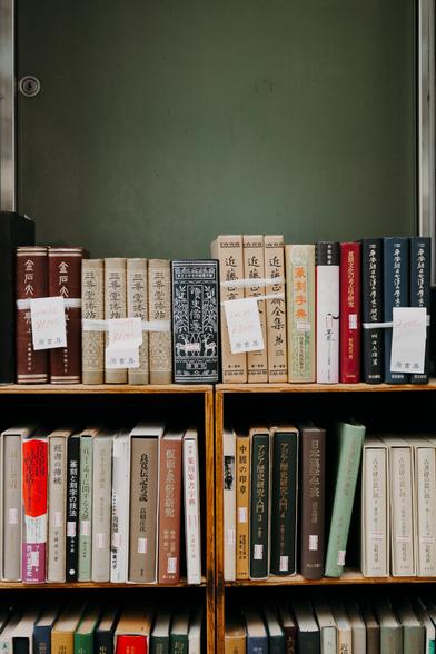 photo of a dozen books put on a shelf