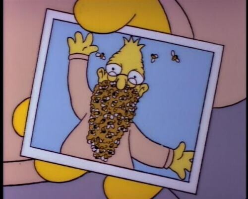 El abuelo Simpson con una barba de abejas