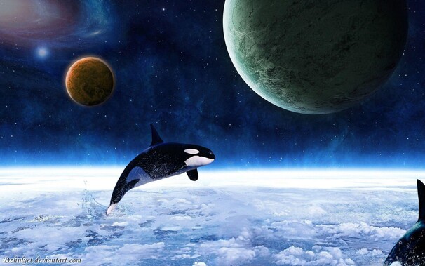 Una orca volando por el espacio 
