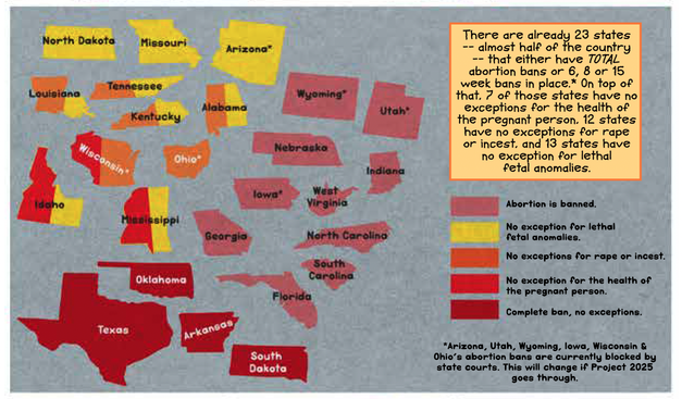 Panel 3

An array of states, color-coded by their current anti-abortion laws.  The colors are as follows:

Pink: Abortion is banned.

Yellow: No exception for lethal fetal anomalies.

Orange: No exceptions for rape or incest.

Bright red: No exception for the health of the pregnant person.

Dark red: Complete ban, no exceptions.

Wyoming, Utah, Nebraska, Indiana, Iowa, West Virginia, Georgia, North Carolina, South Carolina, and Florida are pink. Arizona, Missouri, and North Dakota are yellow. Louisiana, Tennessee, Kentucky, and Alabama are orange and yellow. Ohio is orange. Wisconsin is orange and bright red. Idaho and Mississippi are yellow and bright red. Texas, Oklahoma, Arkansas, and South Dakota are dark red.

CAPTION: There are already 23 states – almost half of the country – that either have total abortion bans or 6, 8 or 15 week bans in place.* On top of that, 7 of those states have no exceptions for the health of the pregnant person, 12 states have no exceptions for rape or incest, and 13 states have no exception for lethal fetal anomalies.

CAPTION: *Arizona, Utah, Wyoming, Iowa, Wisconsin & Ohio’s abortion bans are currently blocked by state courts. This will change of Project 2025 goes through.