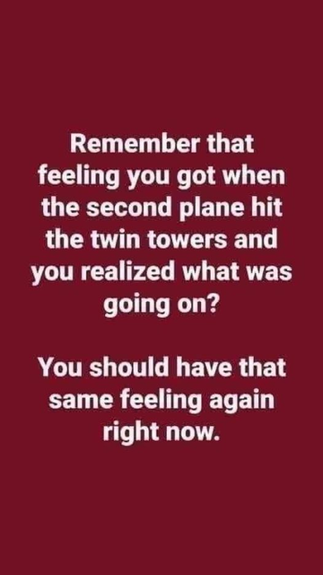 "Remember that
feeling you got when
the second plane hit
the twin towers and
you realized what was
going on?

You should have that
same feeling again
right now."