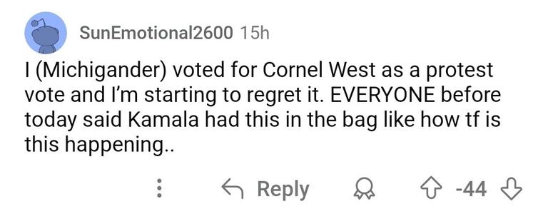 Reddit comment: I (Michigander) voted for Cornel West as a protest vote and I'm starting to regret it. EVERYONE before today said Kamala had this in the bag like how tf is this happening...