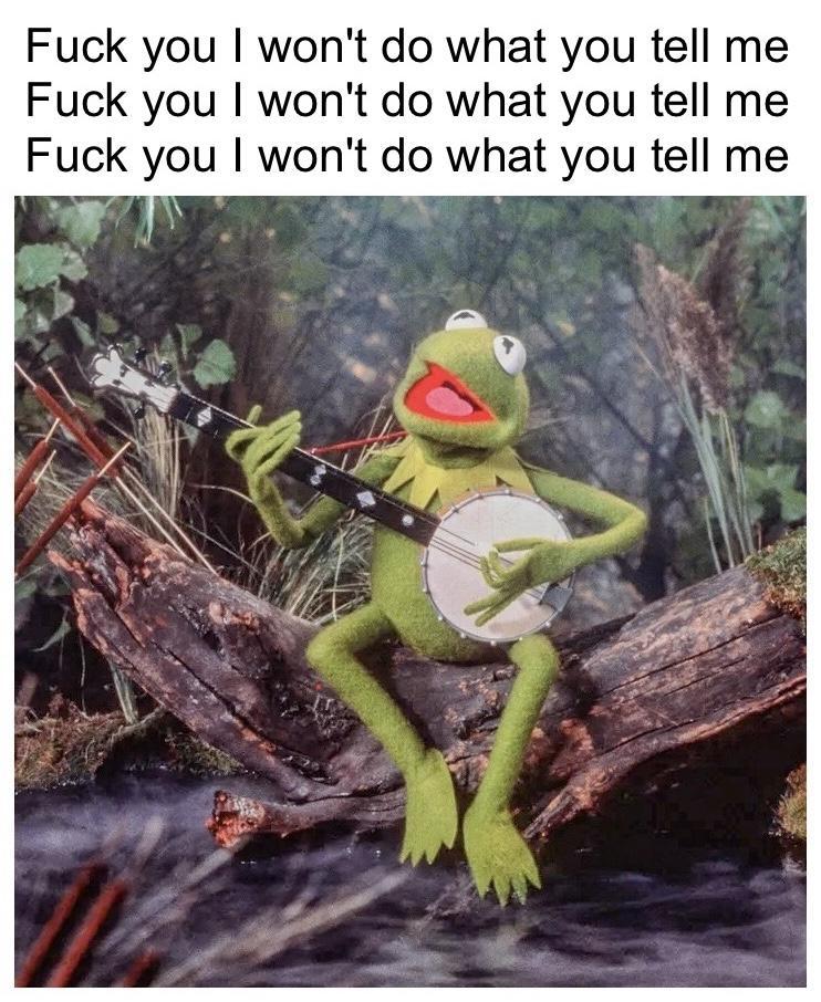 Kermit playing a banjo while sitting on a log singing "Fuck you I won't do what you tell me. Fuck you I won't do what you tell me. Fuck you I won't do what you tell me." Lyrics from Rage Against the Machine's song Killing In the Name. Image and text totally redone from scratch