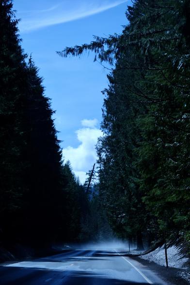 A winding road runs through a dense forest with tall trees on both sides under a clear blue sky.