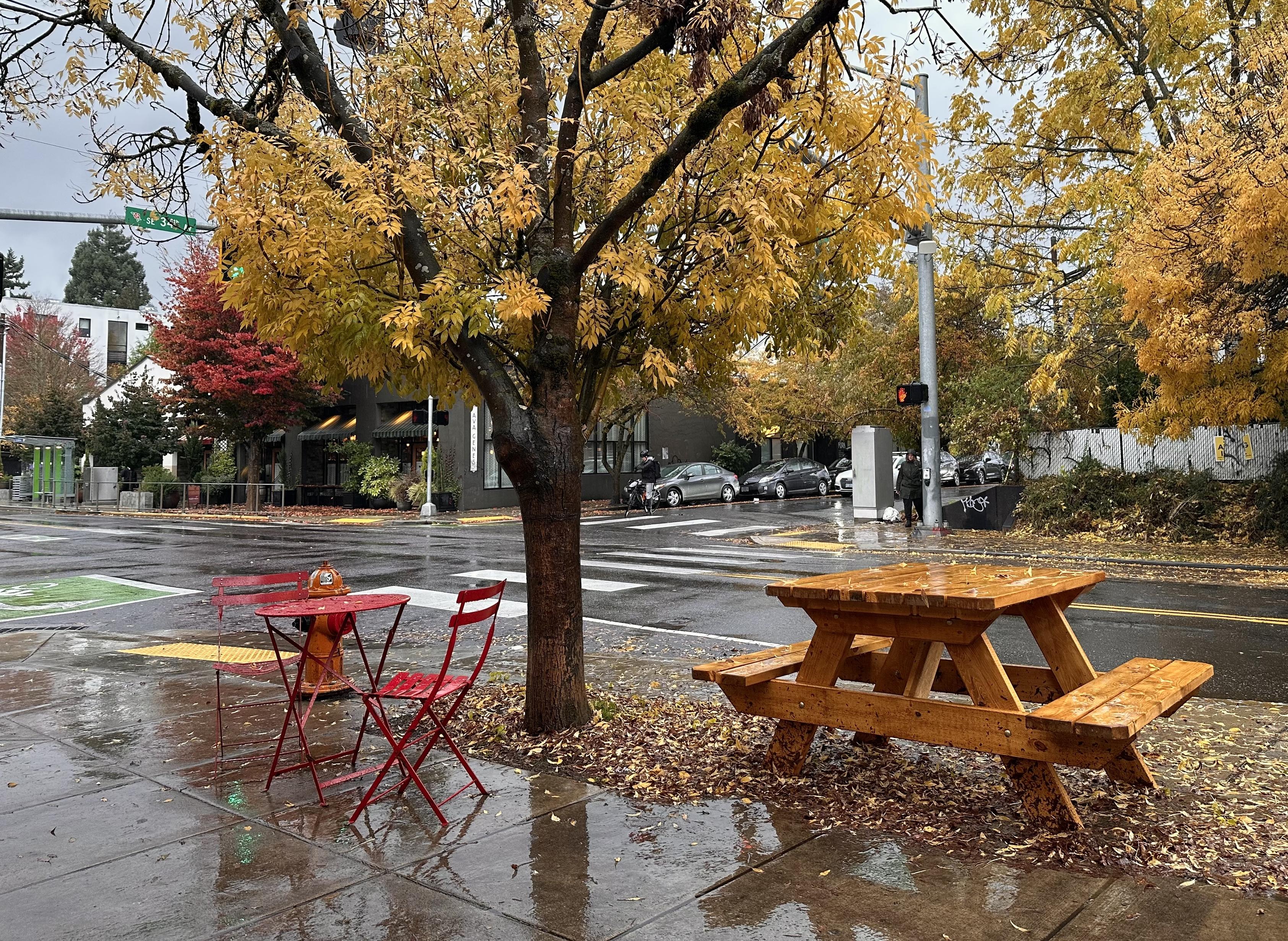 a wooden picnic table and red metal cafe chairs line the sidewalk and are reflected in the pavement. trees along the street are covered with bright golden fall leaves. currently there's no traffic in frame, lending the street a quiet, peaceful atmosphere.