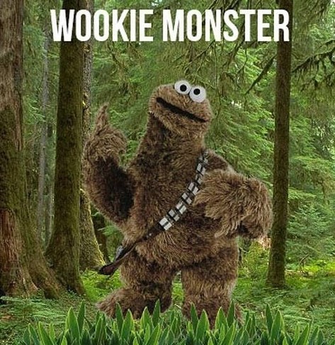 A mashup of Chewbacca and Cookie Monster named Wookie Monster.