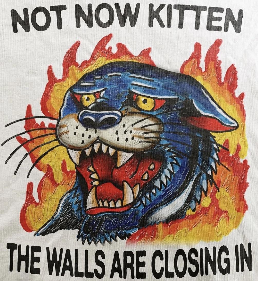 An illustration of a blue tiger’s worried face, surrounded by flames. The text reads “NOT NOW KITTEN THE WALLS ARE CLOSING IN".