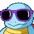 :squirtle_jam: