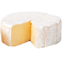 :cheese_brie: