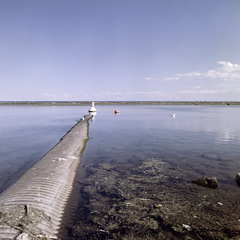 The lake is blue and placid, a storm drain extends out from the lower left corner of the frame and ends before reaching the large white underwater hazard buoy marking its presence. A cluster of three smaller buoys float to its right - an orange ball and two even smaller white ones. A gull preens itself on the pipe while another swims away. The water close to us is clogged with algae and debris. The frame is horizontally bisected by the break wall, lined with waterbirds, and just above that, the horizon.