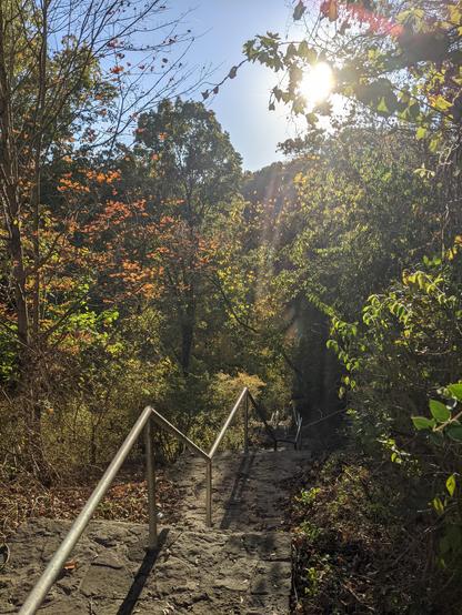 Photo of the stone steps we took to get back to our car. Metal railing in the middle. Pretty fall foliage surrounds the steps going down. 10/21/2024.