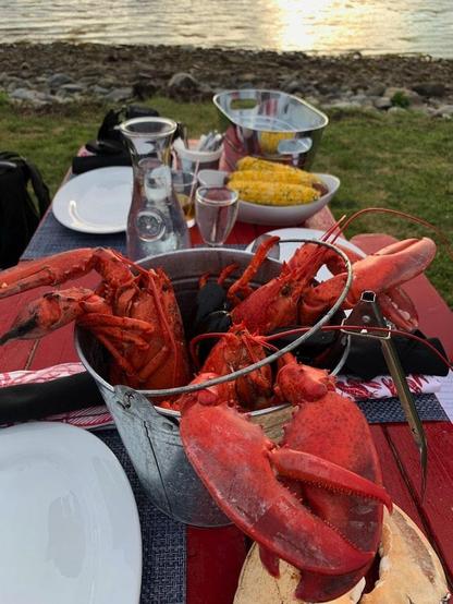 Lobster feast on a picnic table on Lobster Bay