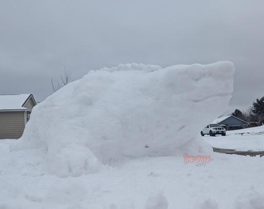 Photo from front of an ankylosaurus snow sculpture