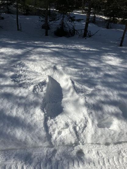 A snow angel ( impression of a person who creates wings by pushing their outspread arms into the snow multiple positions beside their body) created on the side of a walking trail in deep snow . Forest in background