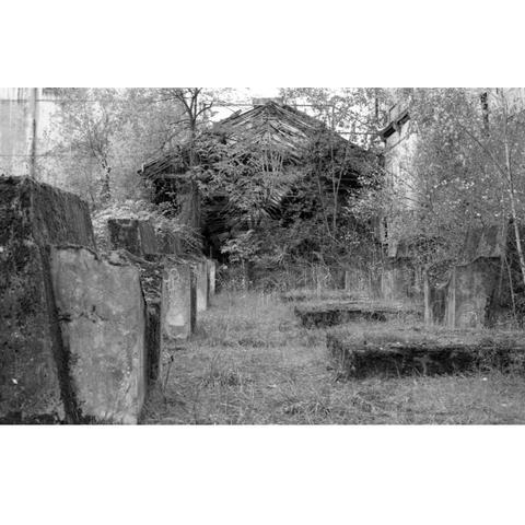 Photographie en noir et blanc d'un bâtiment désaffecté. La végétation prend le dessus.