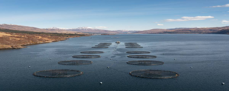 A fish farm in a Scottish loch