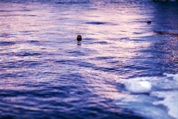 A small orange buoy, with what appears to be a happy face, floats in a royal purple hued harbour.