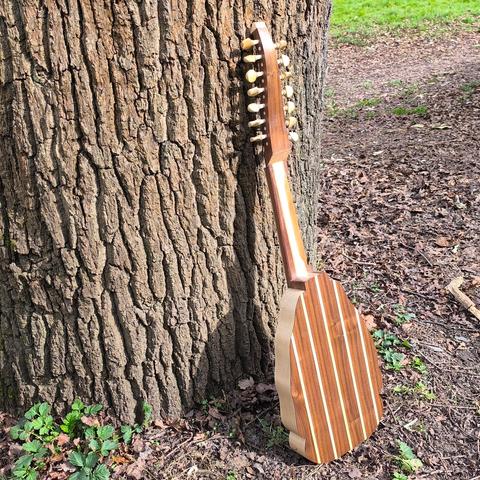 An orpharion I built leaning against a tree, back view