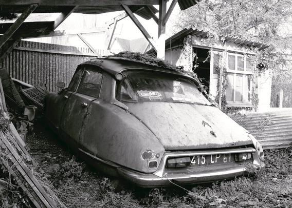 A rusty old car covered in moss under a wooden shelter