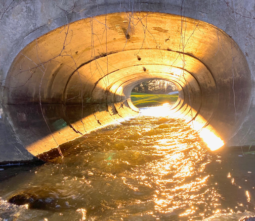 Color image of the sun perfectly aligned with the lay of a culvert under a neighborhood street conducting Yellow Creek, happening only twice each year, in spring and fall. The image shows the sun's beams lighting up the interior of the concrete culvert, which spans approximately 100 feet, or about 30 meters.