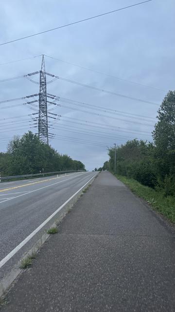 Ein weiter Blick auf eine verlassene Straße entlang eines Radwegs, flankiert von viel Grün. Ein hoher Strommast steht im Hintergrund unter einem bewölkten Himmel.