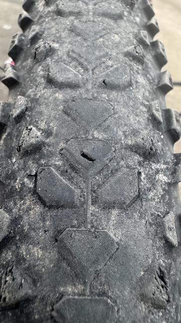 Nahaufnahme eines abgenutzten Fahrradreifens, der sein Laufmuster zeigt, mit sichtbarem Schmutz und einer leichten Reifenpanne.