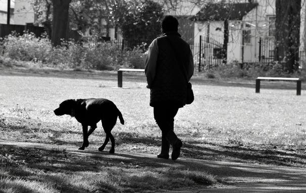 A person walks along a park path with a dog at the side in the sunshine, while benches and trees form a peaceful backdrop.

Eine Person spaziert im Sonnenschein mit einem Hund an der Seite einen Parkweg entlang, waehrend Baenke und Baeume eine friedliche Kulisse bilden.