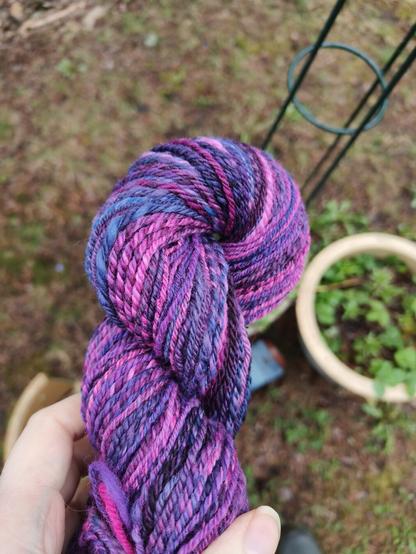 Villalankaa, jossa väri vaihtelee pinkistä violetin eri sävyihin.