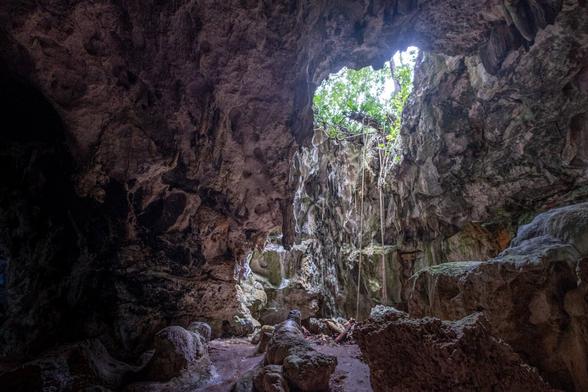 An interior view of a cave featuring rugged rock formations, with a large opening at the top allowing sunlight to filter in. Green foliage is visible at the entrance, contrasting with the dark, textured walls of the cave.
