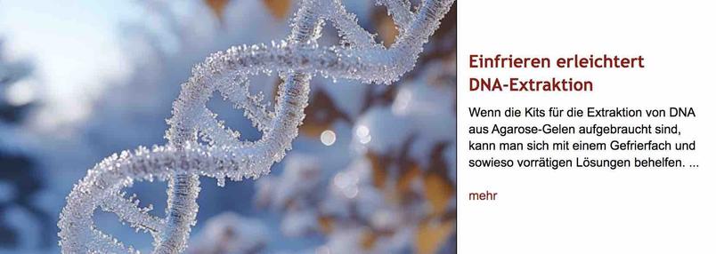 Bild einer DNA-Doppelhelix, die von einer Eisschicht überzogen ist. Rechts daneben Überschrift "Einfrieren erleichtert DNA-Extraktion" des im Post verlinkten Artikels, gefolgt von dessen Vorspann.