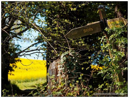 Verwittertes, hölzernes, schief zwischen Gesträuch stehendes Hinweisschild in Pfeilform mit der gelben Aufschrift "Stöfs 2,2 km", im Hintergrund unscharf ein leuchtend gelbes Rapsfeld im Sonnenlicht.