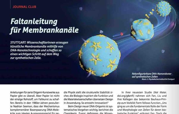 Illustration dreier kugelrunder blauer Zellen, die wie Planeten durch den Raum schweben. Auf ihren Oberflächen sitzen sternförmige gelbe DNA-Nanoroboter, die Kanäle durch die Zellmembran bilden. In die Illustration eingebettet sind die Überschrift "Faltanleitung für Kanäle" des im Post verlinkten Artikels sowie dessen Vorspann und die Bildlegende. Unter dem Bild folgen die ersten Zeilen des Artikeltexts.