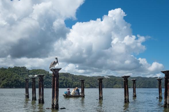 A scenic view of a calm waterway featuring several wooden columns, with a pelican perched on one. In the foreground, three men are seated in a small boat.