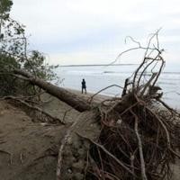 Booming tourism and climate change threaten Albania's coast | National News