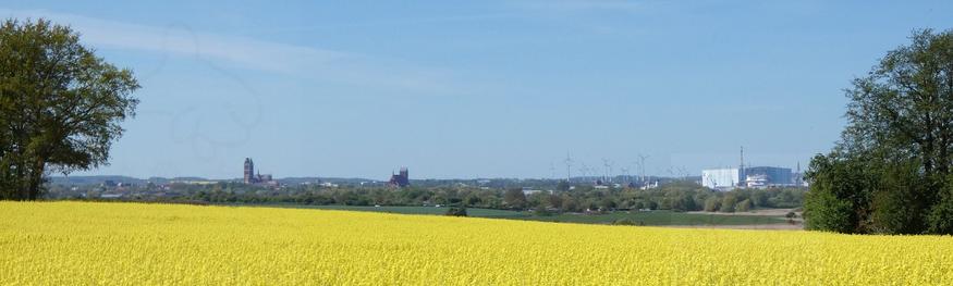 Blick auf die Stadt über blühende Rapsfelder wie vor, diesmal begrenzt von Bäumen links und rechts und mit erweitertem Blick über den Hafen bis zur riesigen Werfthalle. Im Hintergrund Windenergieanlagen. Blauer Himmel.