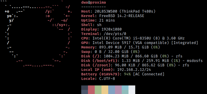 Screenshot of the output from `fastfetch` displaying system parameters from my fresh install of FreeBSD 14.2 on my Thinkpad T480s.