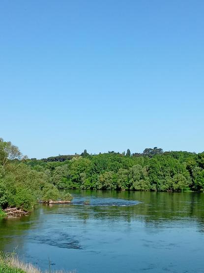 Picture of a river, forest and blue sky.