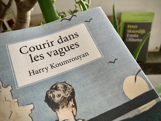 Couverture du livre Courir dans les vagues, de Harry Koumrouyan © 2025 Gilles Denizot