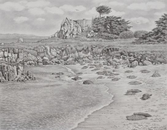 Drawing of a peaceful coastal scene. Harbor seals resting on a beach, gentle waves rolling up to the sand, rocks, cliffs, cypress trees.