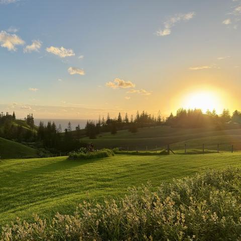 Photograph of the sun rising over a rural scene.  In the foreground is a rolling lawn of green grass. Then more hills covered with tall piece trees. Between hills is a glimpse of the ocean and then the sun partially risen into a blue sky.