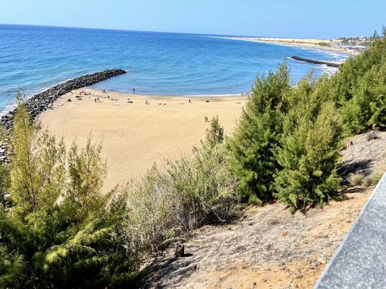 I am not too sure about you, and it may well be a tad early, but I am already feeling the summer vibes ☀️🌴🍹😎👍🏻 Here is a snap shot of Playa del Ingles beach, Gran Canaria, on a typical spring day, blue skies all around, different shades of blue colours blending with the ocean waves, the golden sand, a few people scattered around the beach, a bunch of maritime pines watching the scene at the front and a strong sense of peace and quiet. In the horizon, the majestic sand dunes of Maspalomas 😍👍🏻 

Summer is coming!