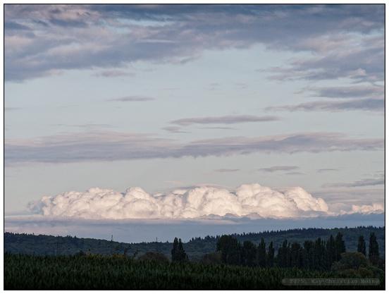 Weite, leicht hügelige Landschaft mit dunklem Wald im Vordergrund und einer langen, weißen, gebirgsähnlichen  Wolkenbank am Horizont unter leicht rosa-violett bewölktem Himmel am Abend.