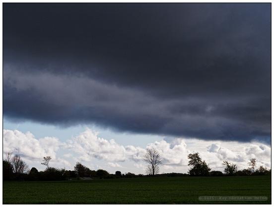 Dunkle, schwere Regenwolken ziehen über eine weite grüne Wiese mit vereinzelten Bäumen hinweg, über dem Horizont ist scharf abgegrenzt davon ein hellblauer, nur leicht mit grell weißen Wolken betupfter Streifen Himmels zu sehen.