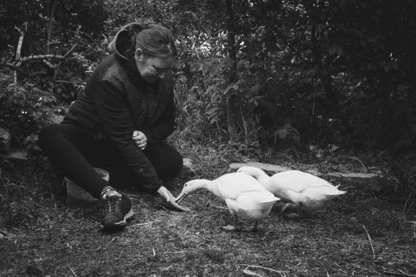 black and white picture of a woman feeding a couple of runner ducks