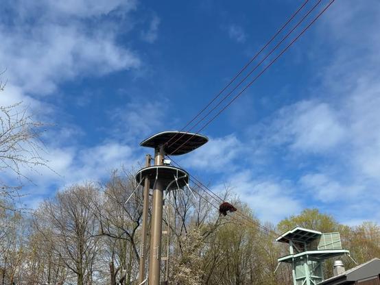 Azure Generated Description:
a water tower with trees around it (45.38% confidence)
---------------
Azure Generated Tags:
outdoor (99.95% confidence)
sky (99.92% confidence)
cloud (99.21% confidence)
tree (98.99% confidence)
pole (84.74% confidence)
tower (75.71% confidence)
blue (61.16% confidence)