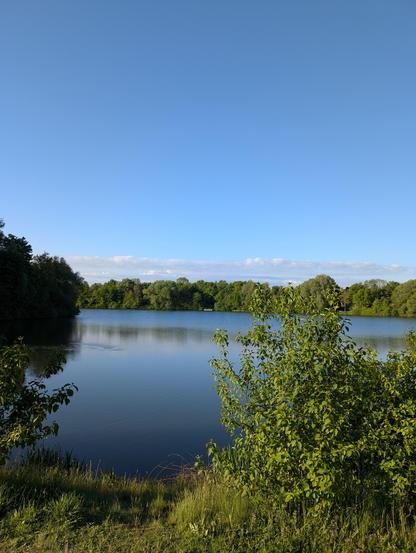 Ein See im Morgenlicht. Im Hintergrund am anderen Ufer grüne Bewaldung