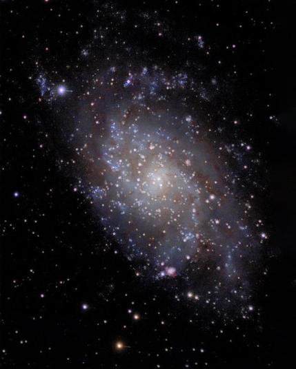 A detailed view of the Triangulum Galaxy (M33), a spiral galaxy located about 2.7 million light-years from Earth. The image shows a glowing core with swirling arms filled with stars, dust, and nebulae, scattered across the dark backdrop of space. Photo was taken at Bubulcus & Bolotas using the Seestar50.