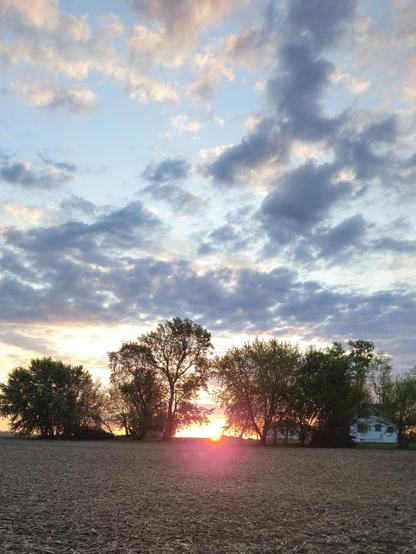 The sun appears just above the horizon between some trees. There are some white and gray clouds in the sky.