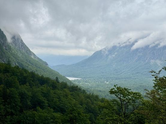 U-shaped tree-clad valley with lake at bottom. 

During the last glaciation approximately 20,000 years ago, the Bohini Glacier was the largest glacier in Slovenia. It was up to 1,000 m thick and only the highest peaks soared above the icy cover.