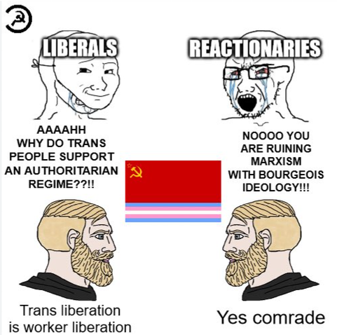 LIBERALS: WHY DO TRANS PEOPLE SUPPORT AN AUTHORITARIAN REGIME??!!

REACTIONARIES: NOOOO, YOU ARE RUINING MARXISM WITH BOURGEOIS IDEOLOGY!!!

Communist 1: Trans liberation is worker liberation.

Communist 2: Yes, comrade!